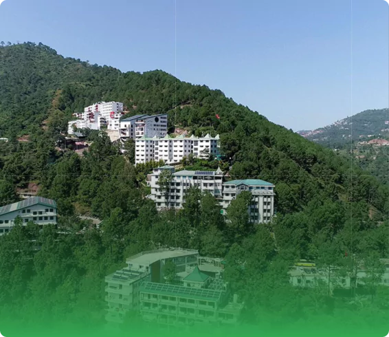 shoolini-college